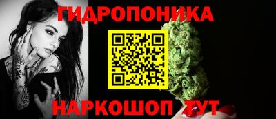крисы Абинск