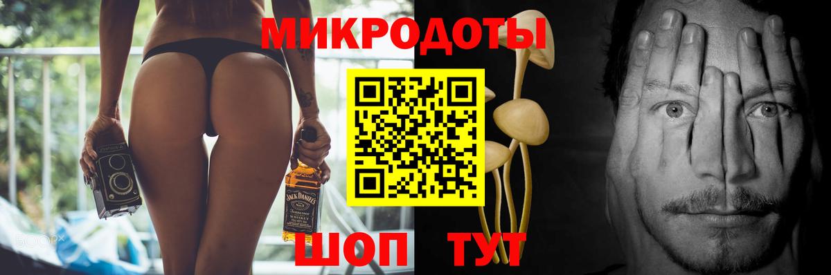Псилоцибиновые грибы Psilocybe Россия